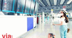Kemenhub Mudik Gratis 2025
