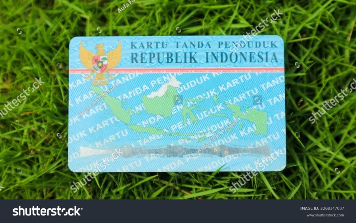 Nomor Induk Kependudukan Dapat Bantuan Dari Pemerintah 2025 Terbaru