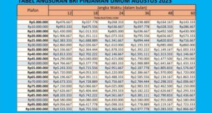 Cicilan Non KUR BRI 2025