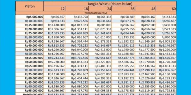 Cicilan Non KUR BRI 2025