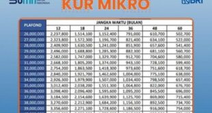 KUR BRI Thn 2025