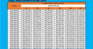 KUR BRI 2025 Berapa Persen Bunganya