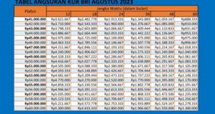 Tabel Pinjaman Non KUR BRI 2025 Terbaru