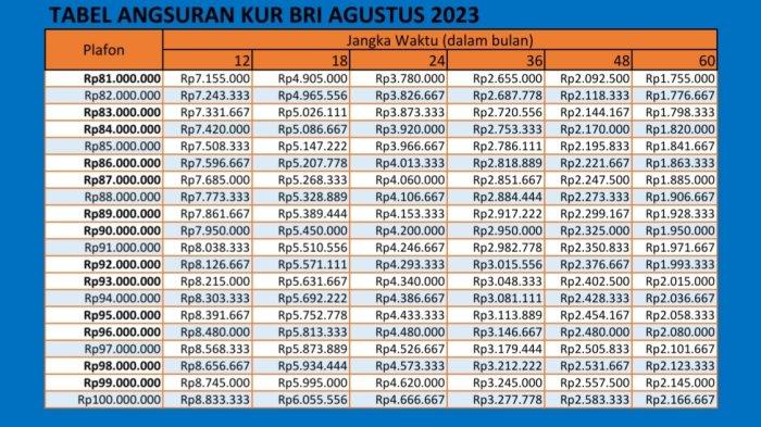 Tabel KUR Makro BRI 2025