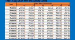 Pinjaman BRI Selain KUR 2025