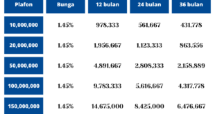 KUR BRI 100 2025