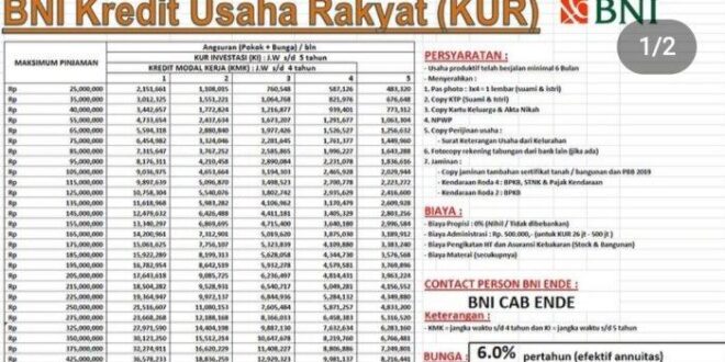 Cara Pengajuan KUR BNI 2025