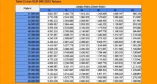 2025 Apakah Ada KUR BRI