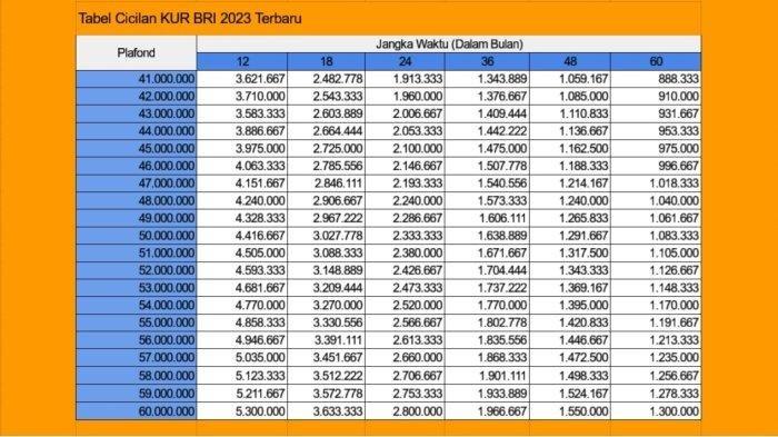 KUR BRI 50 Jt 2025
