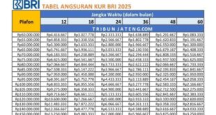 Bunga KUR Paling Rendah 2025