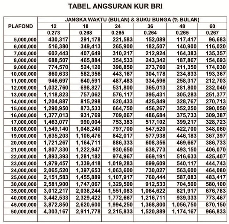 KUR BRI 2025 500