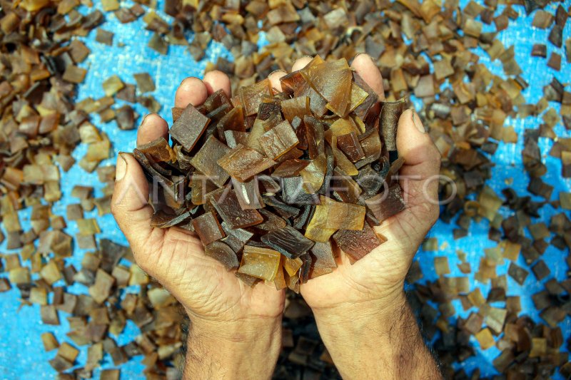 Kapan Dana KUR 2025 Dibuka