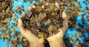 Apakah Dana KUR 2025 Masih Ada