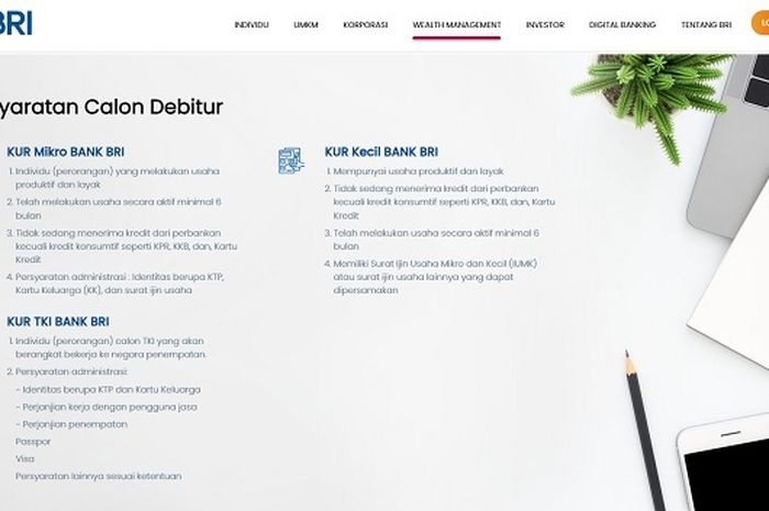 KUR Mandiri Tanpa Jaminan 2025