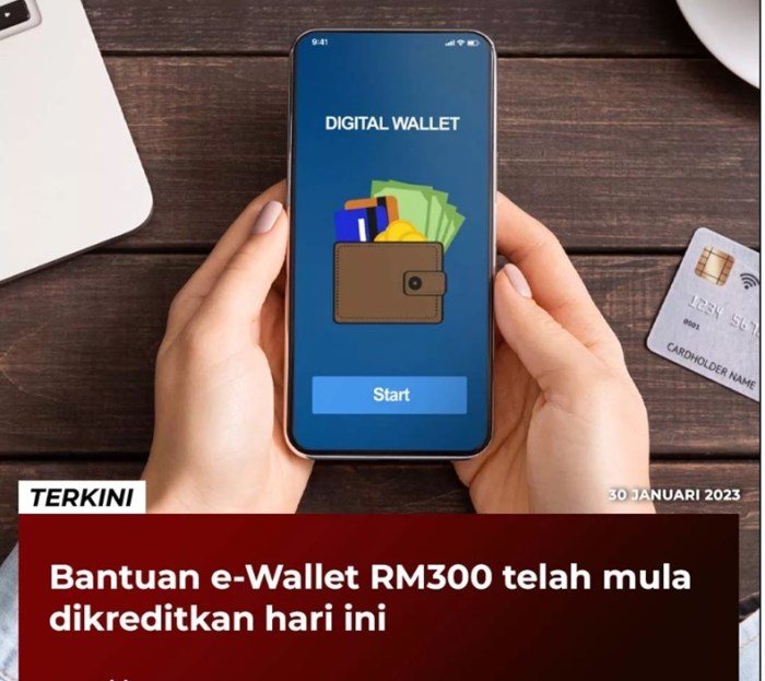 Permohonan Bantuan E Wallet 2025