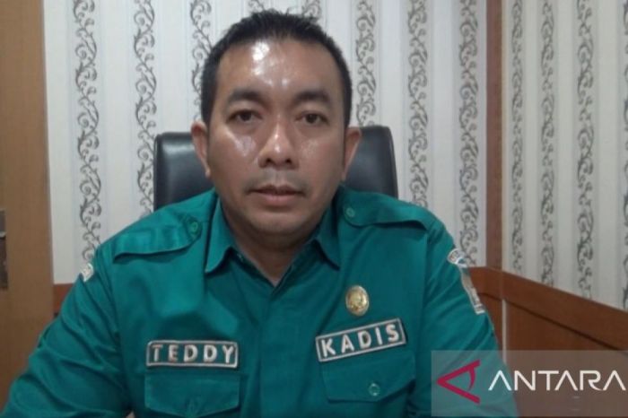 Kantor Pelayanan Pajak Pratama Padang Satu 2025
