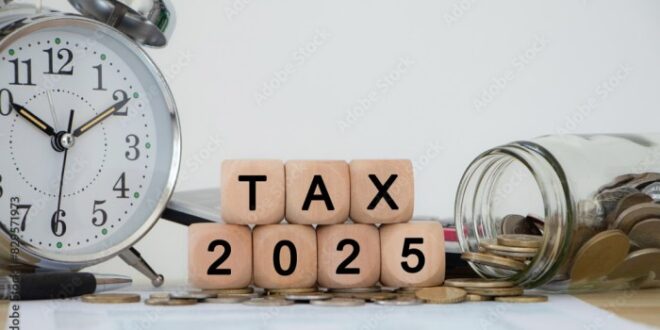 Cara Melihat Efin Pajak 2025