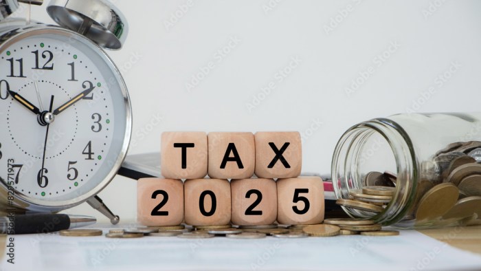 Cara Melihat Efin Pajak 2025
