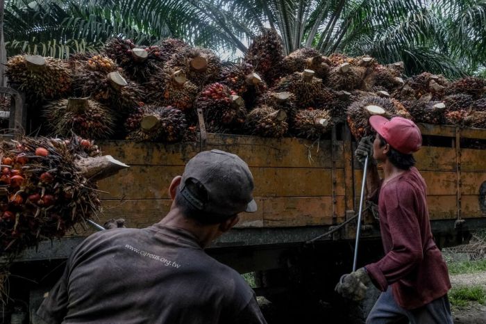 Indonesian migrant intercepts illegal returning routes navy Artikel Kasus TKI Di Malaysia 2025