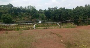 THR Maret 2025 Lokasari Mangga Besar
