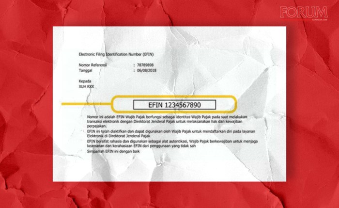 Cara Cek Efin Pajak 2025