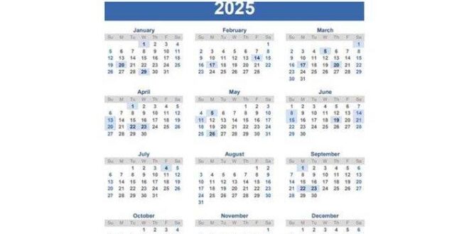 Ereg Pajak Cek Npwp 2025