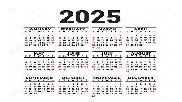 Cara Mendapatkan Efin Pajak 2025