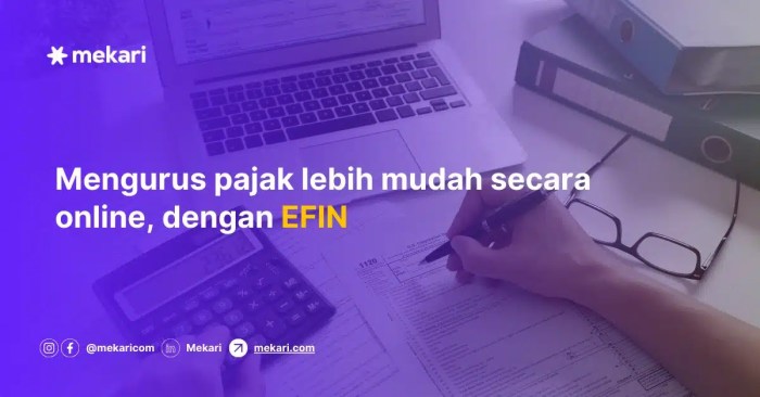 Cara Melihat Efin Pajak 2025