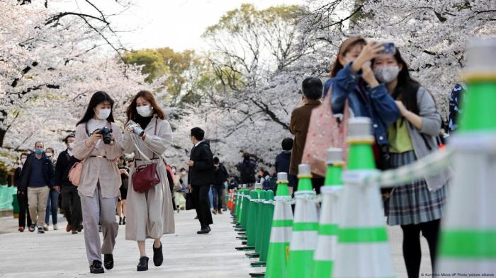 Bulan Maret Di Jepang Musim Apa