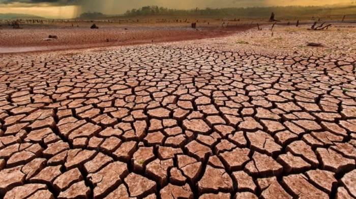 Sertifikat Brevet Pajak Yang Diakui 2025