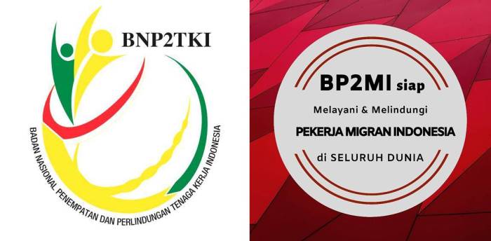 Cara Daftar TKI Di Bnp2TKI 2025