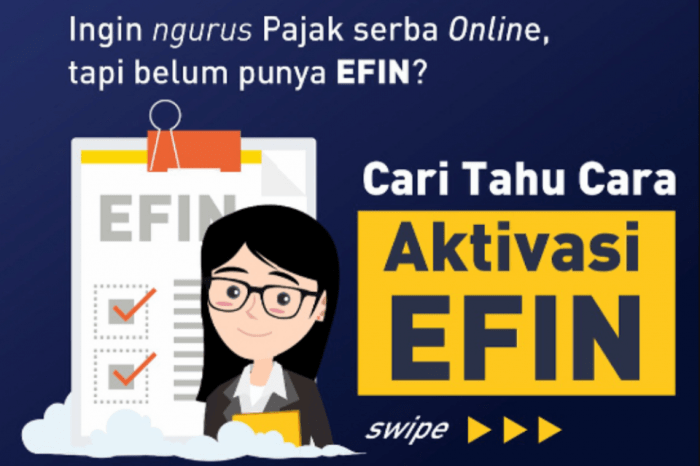 Cara Cek Efin Pajak 2025