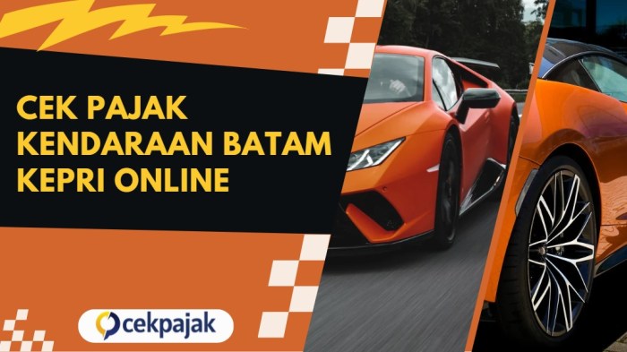 Cek Pajak Motor Online Batam 2025