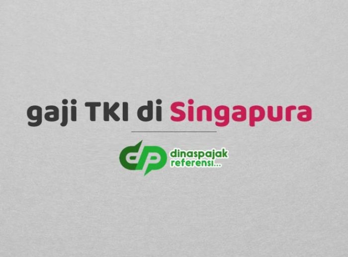Agen TKI Ke Singapura 2025