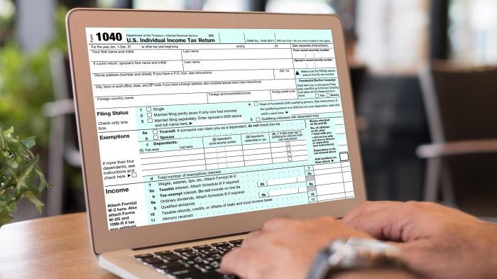 Taxes filing online Taxes filing online