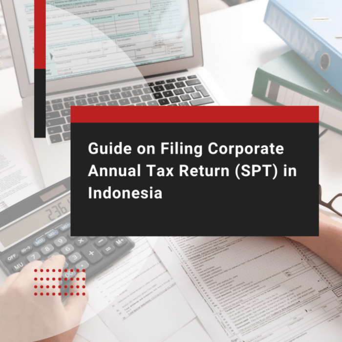 Cara Melapor Pajak Pribadi Online 2025