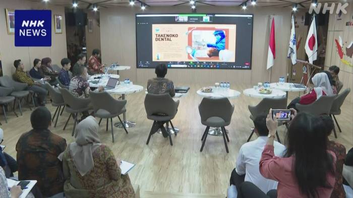 Lowongan Kerja TKI Jepang Lulusan Sma 2025