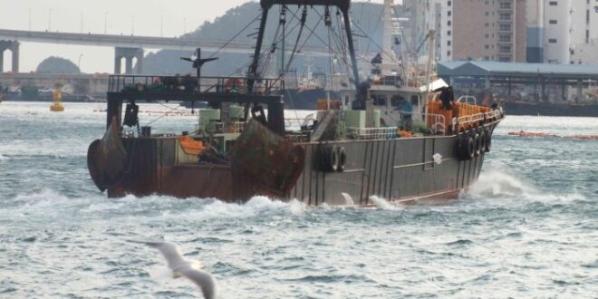 Gaji TKI Korea Sektor Perikanan 2025