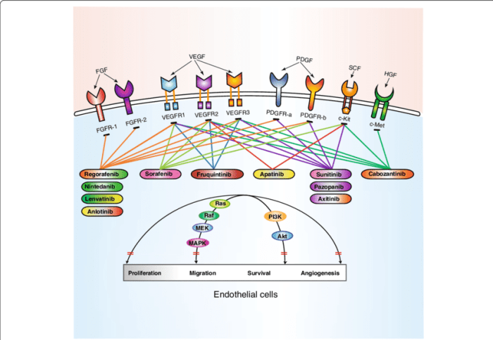 TKI Tyrosine Kinase Inhibitors 2025