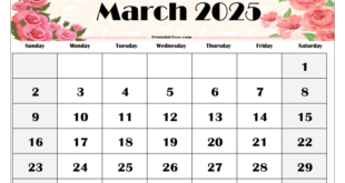 Lagu THR Maret 2025 Ku Dimana