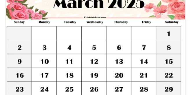 Lagu THR Maret 2025 Ku Dimana