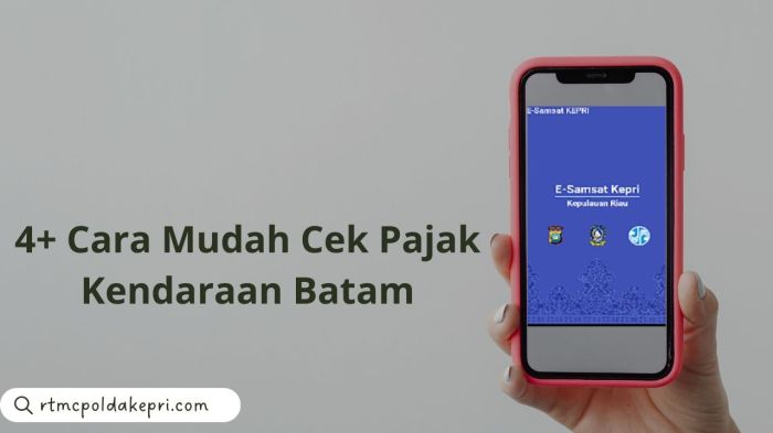 Cek Pajak Motor Batam 2025