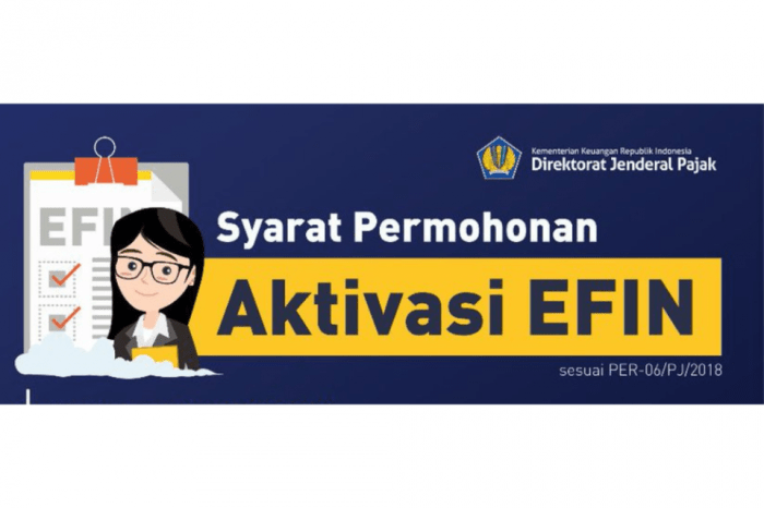 Apa Itu Efin Pajak 2025