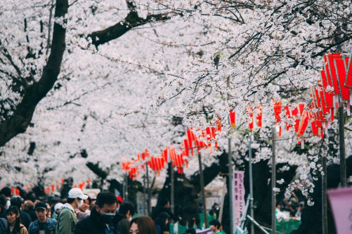 Maret Di Jepang Musim Apa