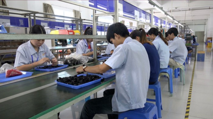 Belajar Bahasa Taiwan Untuk TKI Pabrik 2025