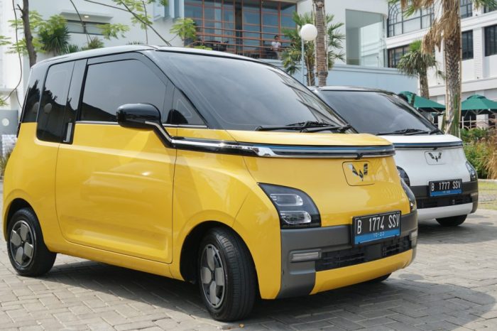 Pajak Wuling Air Ev 2025