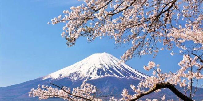 Bulan Maret Di Jepang Musim Apa