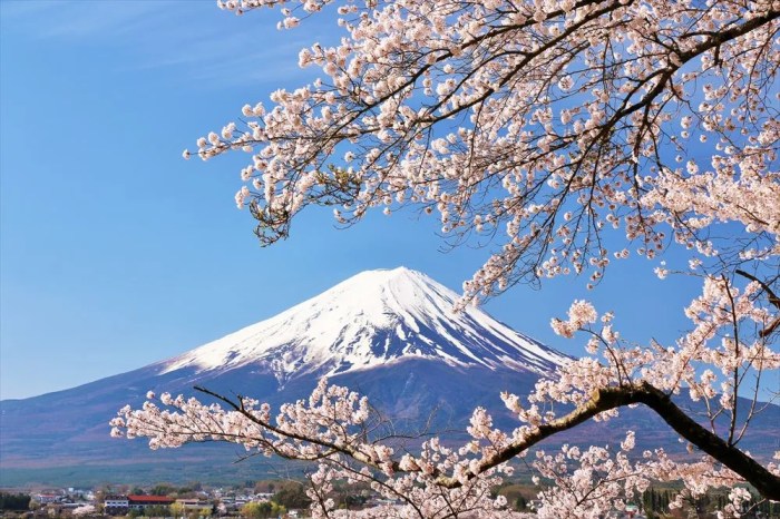 Bulan Maret Di Jepang Musim Apa
