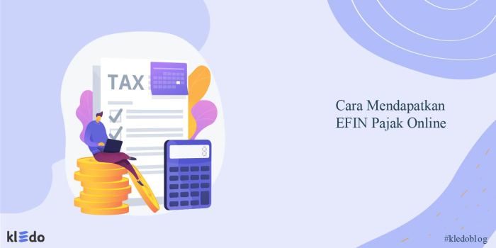 Cara Melihat Efin Pajak 2025