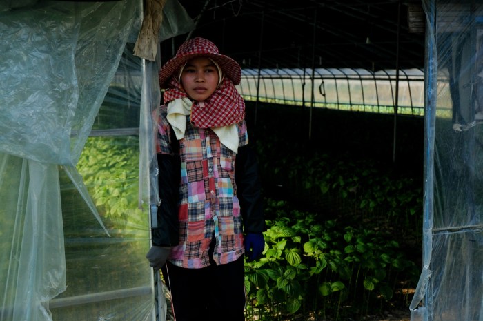 Migrant workers indonesian systems support asia indonesia forum collaboration partners Migrant workers indonesian systems support asia indonesia forum collaboration partners